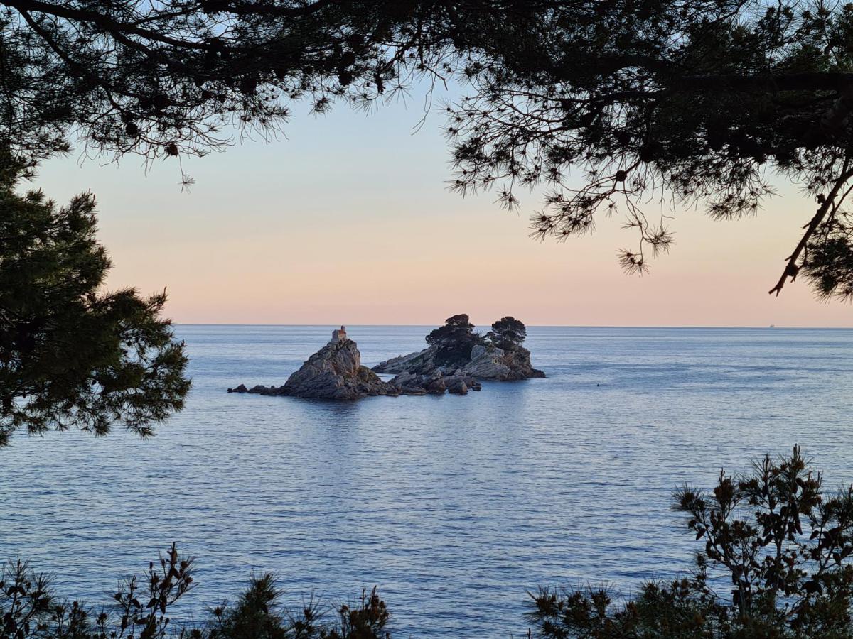 Palm Point Apartment Petrovac Eksteriør bilde