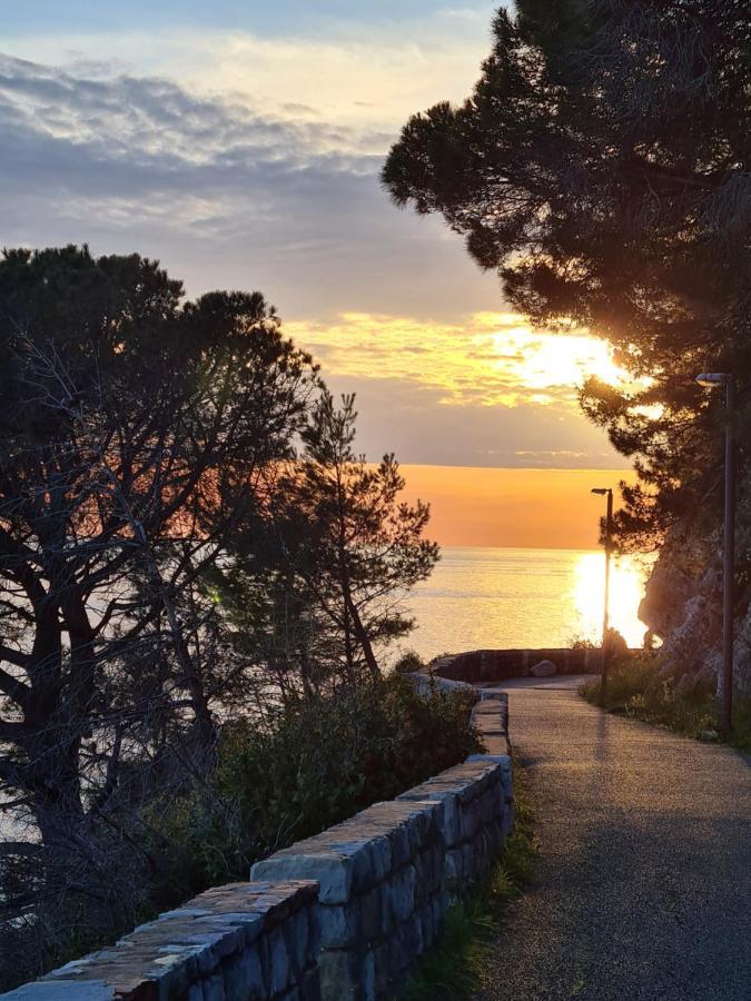 Palm Point Apartment Petrovac Eksteriør bilde