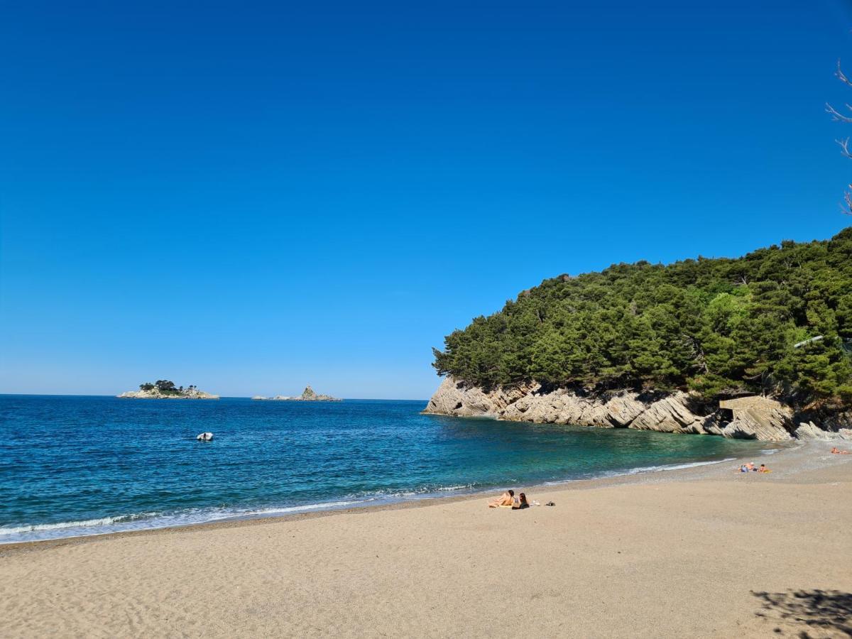 Palm Point Apartment Petrovac Eksteriør bilde
